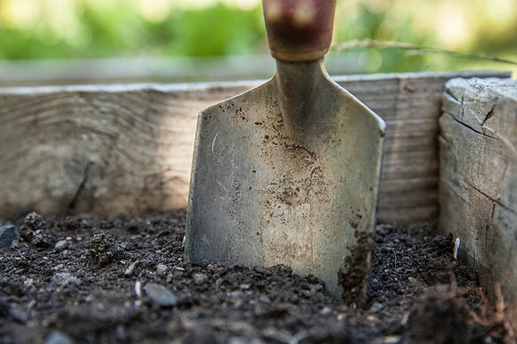 Tips for April Gardening