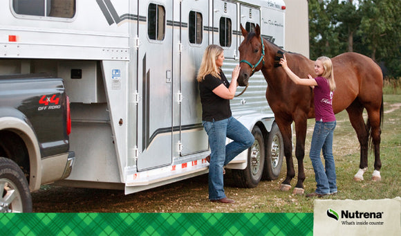 Managing Feeding Programs on the Road for Show Horses