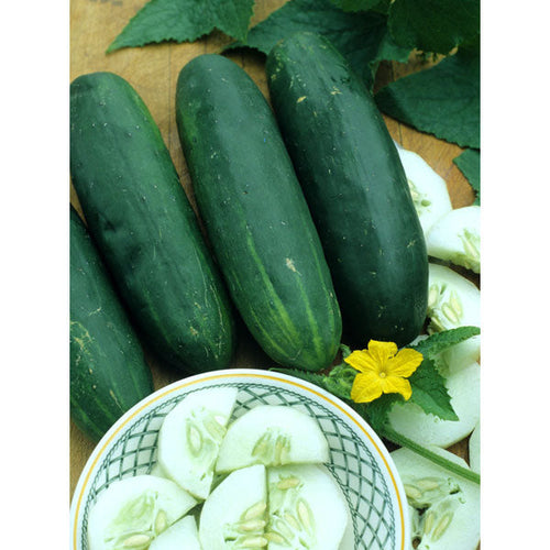 CUCUMBER STRAIGHT EIGHT (1/2 OZ (EACH))