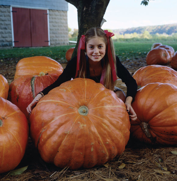 PUMPKIN BIG MAX (1/2 OZ (EACH))