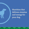 Nutrena® True Active 26/18 Dog Food