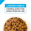 Purina Pro Plan Focus Adult Large Breed Formula Dry Dog Food