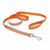 Coastal Pet Products Lazer Brite Reflective Open-Design Dog Leash (3/8 x 6')