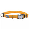 Coastal Pet Products K9 Explorer Brights Reflective Adjustable Dog Collar (1 x 18”-26”, Lake)