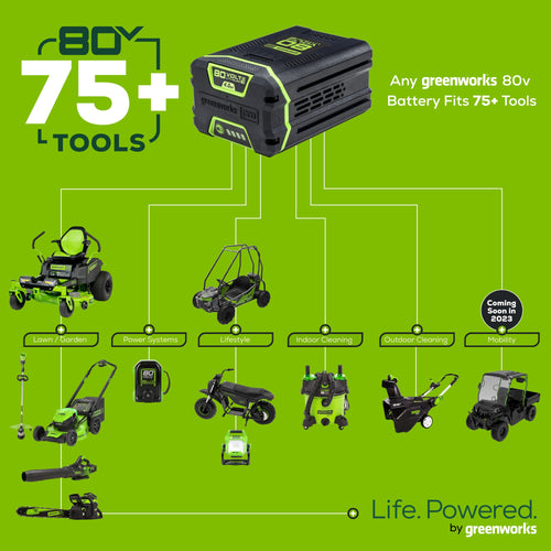 Greenworks 80V 10 Cordless Battery Pole Saw w/ 2.0 Ah Battery & Rapid Charger (10)