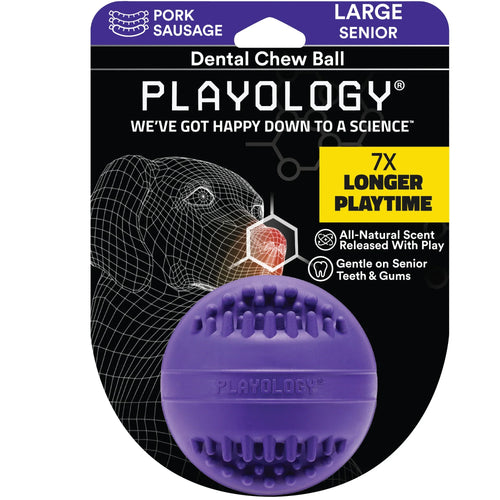 Playology Dental Chew Ball Dog Toy