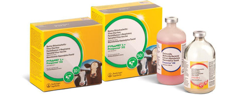 Boehringer Ingelheim Cattle Pyramid 5 Plus Presponse Sq 10 Dose (10 Dose)