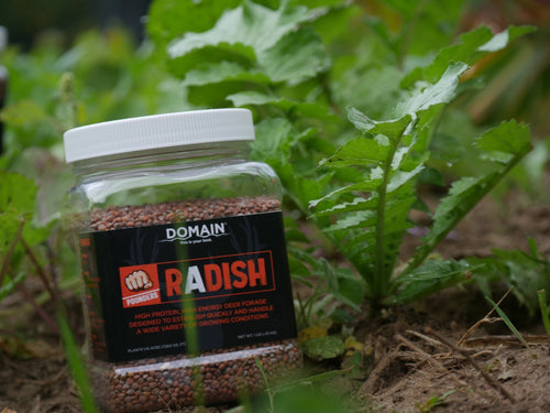 Domain Outdoor Pounder Radish