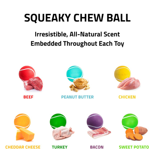 Playology Squeaky Chew Ball Dog Toy