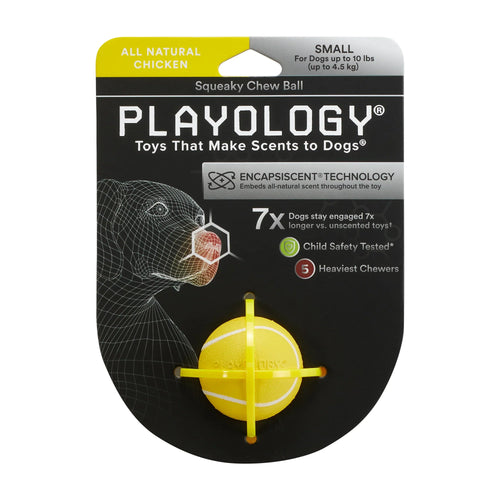 Playology Squeaky Chew Ball Dog Toy