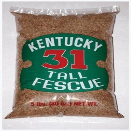 Mountainview Seeds Grass Seed Kentucky 31 5Lb Bag (5 lb)