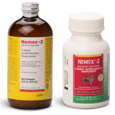 Zoetis NEMEX®(PYRANTEL PAMOATE) (2 oz)