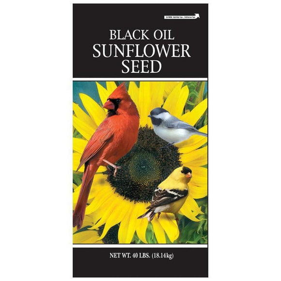 GENERIC BLACK OIL SUNFLOWER SEED (40 Lbs)