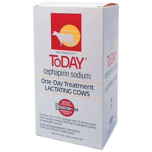 TODAY CEPHAPIRIN SODIUM (144 X 10ML)