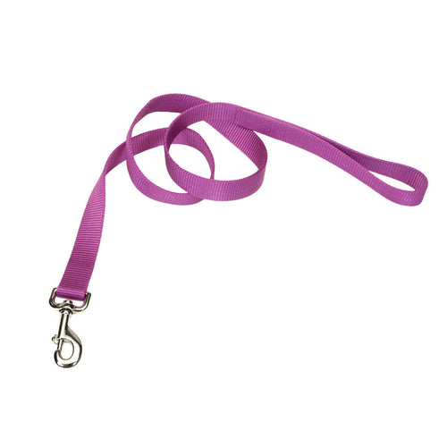 Coastal Single-Ply Dog Leash (Small - 5/8 x 6')