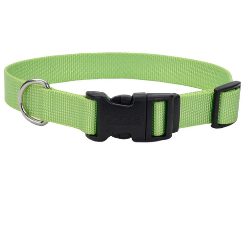 Coastal Adjustable Dog Collar with Plastic Buckle (Medium - 3/4 X 14-20, Blue Lagoon)