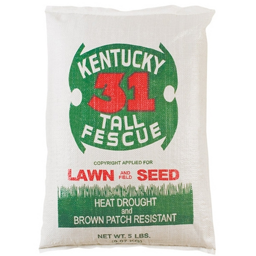 Kentucky 31 Tall Fescue Lawn & Garden And Field Seed