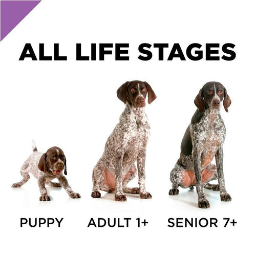 Purina Pro Plan Sport All Life Stages Performance 30/20 Formula Dry Dog Food