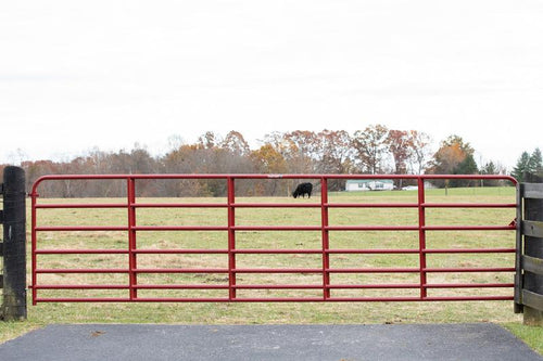 Tarter Steelmax Stock Gate (12 Ft (RRB12) - Red)