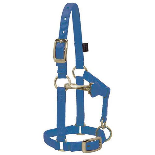 Weaver Leather Miniature Horse Adjustable Chin & Throat Snap Halter (Average 5/8 Blue)