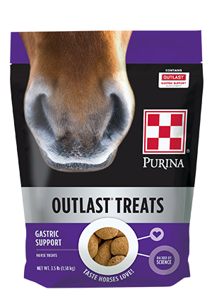 Purina® Outlast® Horse Treats