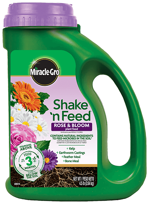 Miracle-Gro® Shake 'n Feed® Rose & Bloom Plant Food