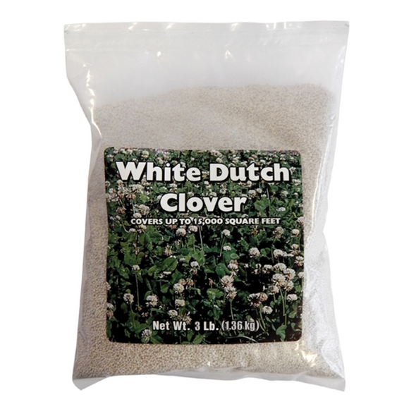 White Clover